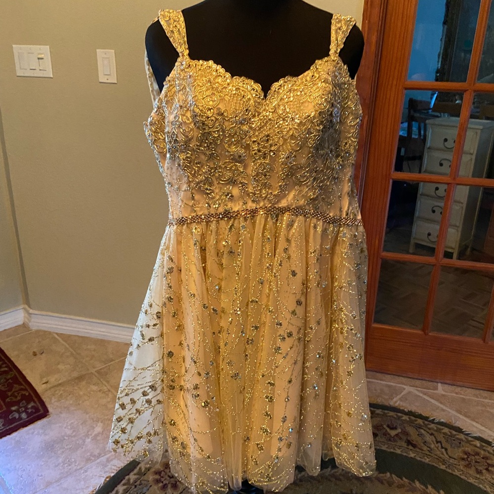 Gorgeous party dress